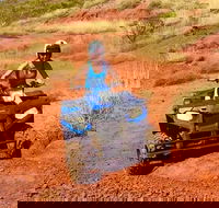 Aussie Outback Air and Land Tour Including Quad Bike Ride - Accommodation Sunshine Coast