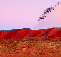 Best of Ayers Rock Sunset Uluru and Sunrise Kata Tjuta Small Group Tours - Accommodation Sunshine Coast