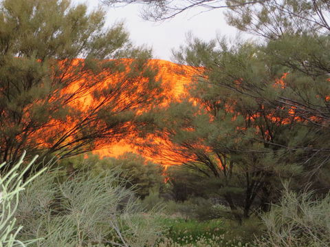 3-Day Ayers Rock, Olgas And Kings Canyon Camping Safari - Accommodation Sunshine Coast 6