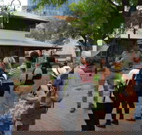 Alice Springs Walking Tours - Accommodation Sunshine Coast