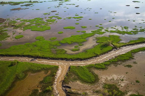 Kakadu National Park Scenic Flight - Accommodation Sunshine Coast 10