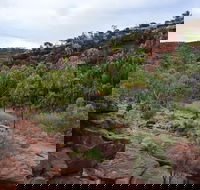 Palm Valley and Hermannsburg 1 Day 4WD Tour - Accommodation Sunshine Coast