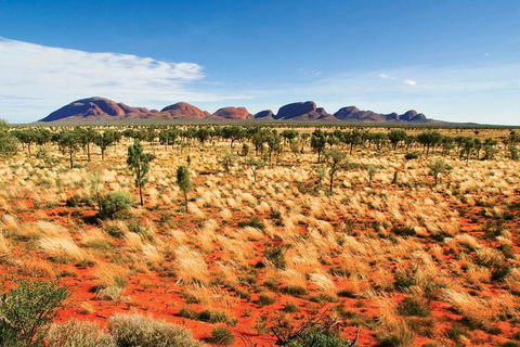 2-Day Uluru (Ayers Rock) And Kata Tjuta Trip From Alice Springs - Accommodation Sunshine Coast 9