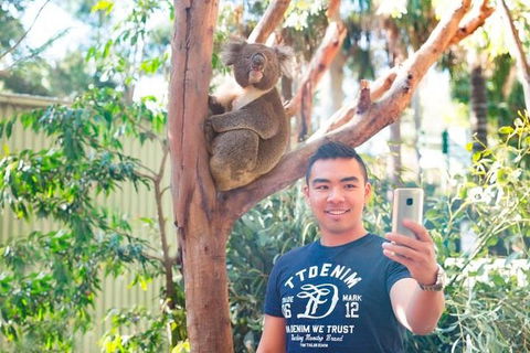 All Inclusive Full-Day Blue Mountains Trip From Sydney - Accommodation Sunshine Coast 1