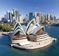 Sydney Morning Tour with Optional Lunch Cruise or Sydney Opera House Tour Upgrade - Accommodation Sunshine Coast