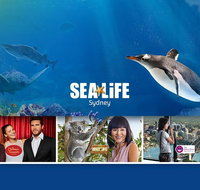 Sydney Attractions Pass SEA LIFE Aquarium Sydney Tower Eye WILD LIFE Zoo and Madame Tussauds - Accommodation Sunshine Coast