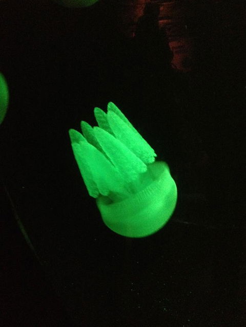 SEA LIFE Sydney Aquarium Entrance Ticket - Accommodation Sunshine Coast 2