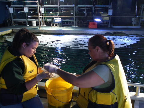 SEA LIFE Sydney Aquarium Entrance Ticket - Accommodation Sunshine Coast 14