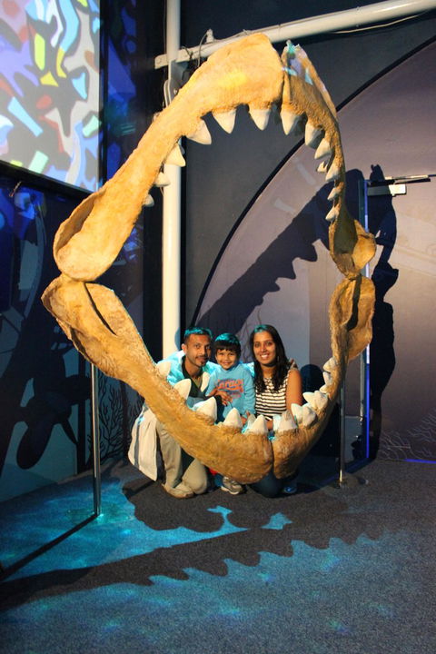 SEA LIFE Sydney Aquarium Entrance Ticket - Accommodation Sunshine Coast 6