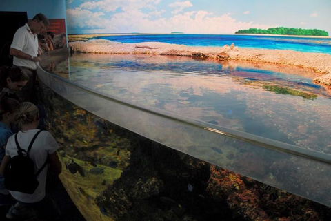 SEA LIFE Sydney Aquarium Entrance Ticket - Accommodation Sunshine Coast 24