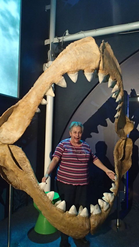 SEA LIFE Sydney Aquarium Entrance Ticket - Accommodation Sunshine Coast 3