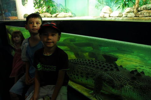 SEA LIFE Sydney Aquarium Entrance Ticket - Accommodation Sunshine Coast 22