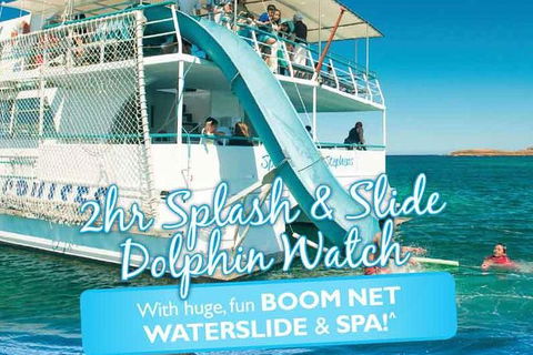 Port Stephens Dolphin Watching Cruise Including Splash And Slide - Accommodation Sunshine Coast 0