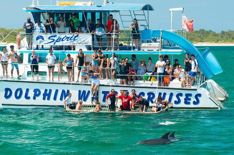 Port Stephens Dolphin Watching Cruise Including Splash And Slide - Accommodation Sunshine Coast 1