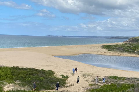 The Eurobodalla Experience (Full Day Private Tour Including Lunch) - Accommodation Sunshine Coast 19