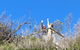 The Eurobodalla Experience (Full Day Private Tour Including Lunch) - thumb 21