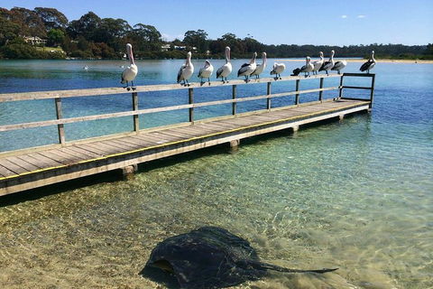 The Eurobodalla Experience (Full Day Private Tour Including Lunch) - Accommodation Sunshine Coast 2