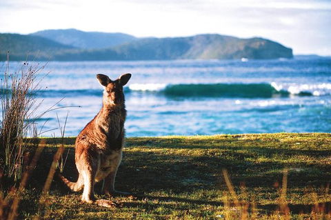 The Eurobodalla Experience (Full Day Private Tour Including Lunch) - Accommodation Sunshine Coast 7