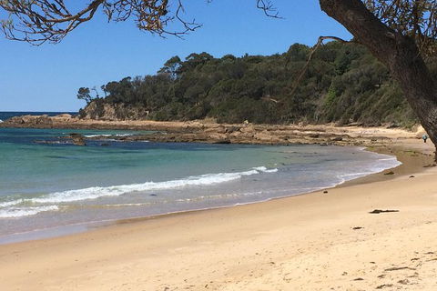 The Eurobodalla Experience (Full Day Private Tour Including Lunch) - Accommodation Sunshine Coast 13