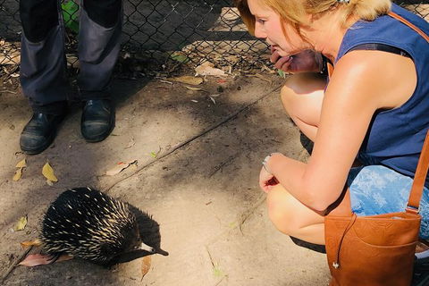 The Eurobodalla Experience (Full Day Private Tour Including Lunch) - Accommodation Sunshine Coast 18