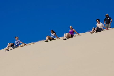 Port Stephens Day Tour From Sydney Including 4WD, Sandboarding And Dolphins - Accommodation Sunshine Coast 1