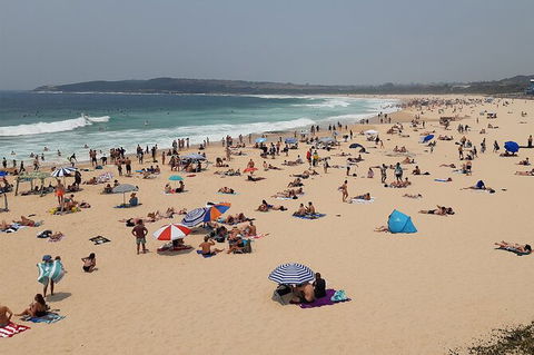 Experience The Real Sydney With Our Signature Tour - Accommodation Sunshine Coast 7