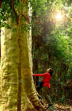 3 Day Murramarang Coast Journey From Batemans Bay With Meals And Villa Accom - Accommodation Sunshine Coast 4