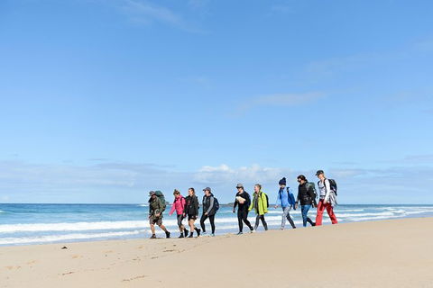3 Day Murramarang Coast Journey From Batemans Bay With Meals And Villa Accom - Accommodation Sunshine Coast 7