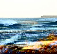 7-Day Byron Bay Evans Head and Moonee Beach Surf Safari from Brisbane Gold Coast or Byron Bay - Accommodation Sunshine Coast