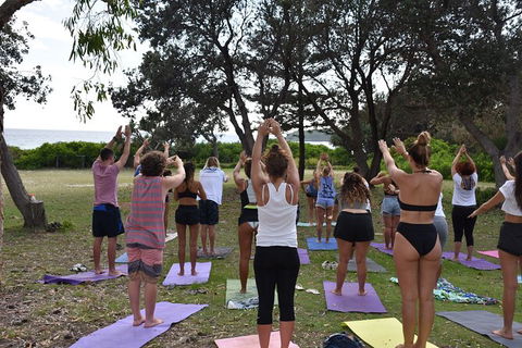 7-Day Byron Bay, Evans Head And Moonee Beach Surf Safari From Brisbane, Gold Coast Or Byron Bay - Accommodation Sunshine Coast 3