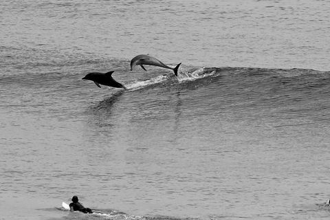 7-Day Byron Bay, Evans Head And Moonee Beach Surf Safari From Brisbane, Gold Coast Or Byron Bay - Accommodation Sunshine Coast 6