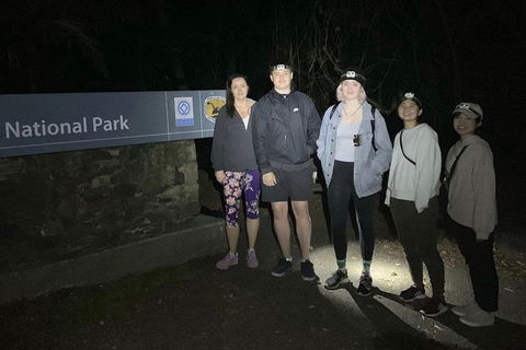 Byron Bay Surfing Lesson And Mount Warning Sunrise Climb Including Overnight Camping And BBQ Dinner - Accommodation Sunshine Coast 13