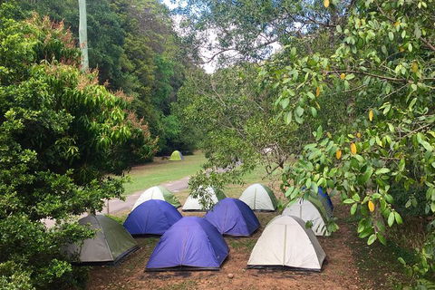 Byron Bay Surfing Lesson And Mount Warning Sunrise Climb Including Overnight Camping And BBQ Dinner - Accommodation Sunshine Coast 18