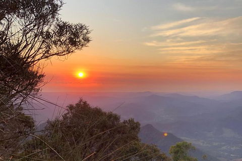 Byron Bay Surfing Lesson And Mount Warning Sunrise Climb Including Overnight Camping And BBQ Dinner - Accommodation Sunshine Coast 10