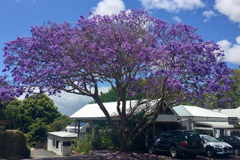 Byron Bay And Beyond Tour Including Cape Bryon Lighthouse Crystal Castle And Bangalow - Accommodation Sunshine Coast 3