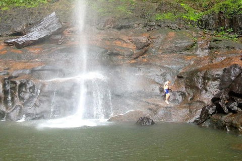 Byron Bay Combo: Hinterland Tour Including Minyon Falls And Kayaking With Dolphins - Accommodation Sunshine Coast 15
