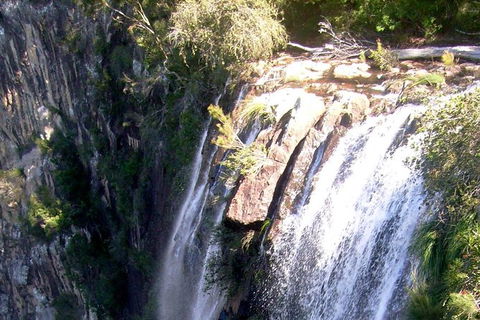 Byron Bay Combo: Hinterland Tour Including Minyon Falls And Kayaking With Dolphins - Accommodation Sunshine Coast 20