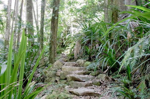 Byron Bay Combo: Hinterland Tour Including Minyon Falls And Kayaking With Dolphins - Accommodation Sunshine Coast 4