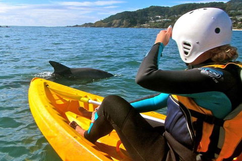 Byron Bay Combo: Hinterland Tour Including Minyon Falls And Kayaking With Dolphins - Accommodation Sunshine Coast 1