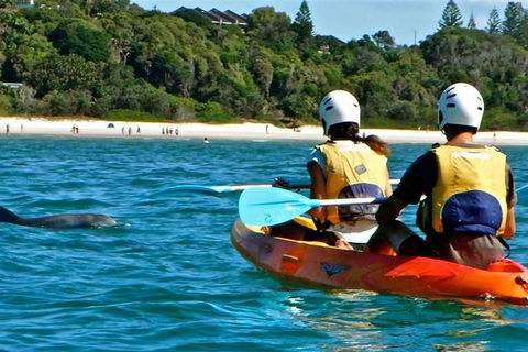 Byron Bay Combo: Hinterland Tour Including Minyon Falls And Kayaking With Dolphins - Accommodation Sunshine Coast 16