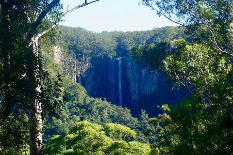 Byron Bay Combo: Hinterland Tour Including Minyon Falls And Kayaking With Dolphins - Accommodation Sunshine Coast 5