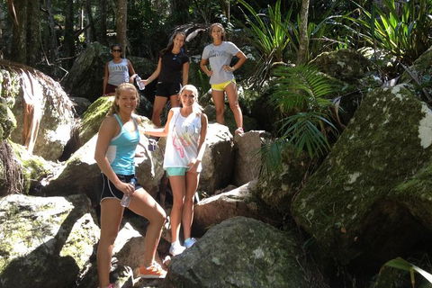 Byron Bay Combo: Hinterland Tour Including Minyon Falls And Kayaking With Dolphins - Accommodation Sunshine Coast 7