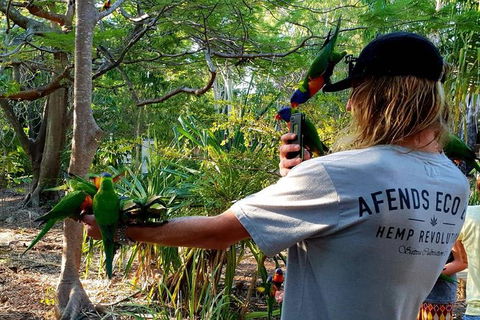 Stray Australia: Byron Bay To Cairns - Freestyle Tour - Accommodation Sunshine Coast 1
