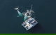 Coffs Harbour Whale Watch Experience - thumb 0