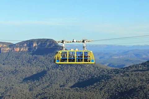 Blue Mountains Private Tour With Kangaroos & Koala Encounter - Accommodation Sunshine Coast 4