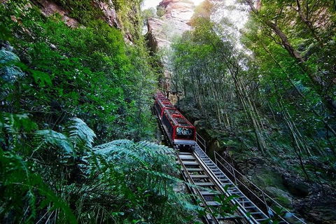 Blue Mountains Private Tour With Kangaroos & Koala Encounter - Accommodation Sunshine Coast 12