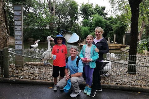 Blue Mountains Private Tour With Kangaroos & Koala Encounter - Accommodation Sunshine Coast 10