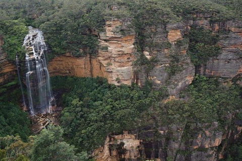 Blue Mountains Private Tour With Kangaroos & Koala Encounter - Accommodation Sunshine Coast 8