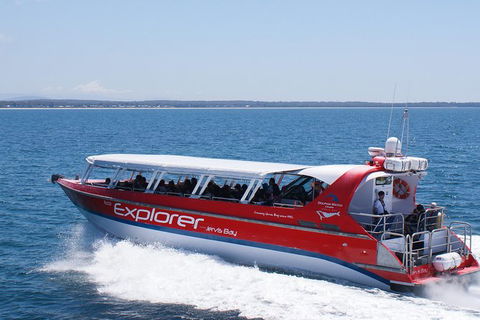 Whale Watching Jervis Bay - Accommodation Sunshine Coast 1