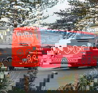 SkyBus Byron Bay Express - Accommodation Sunshine Coast